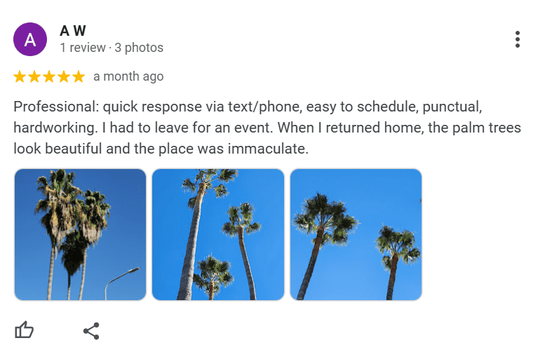 5 star review: "Professional, punctual, hardworking. My palm trees look beautiful and the place was immaculate."