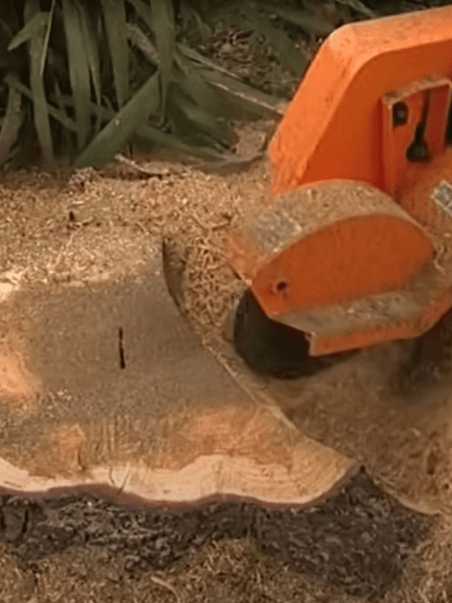 stump grinding with a Stump Humper